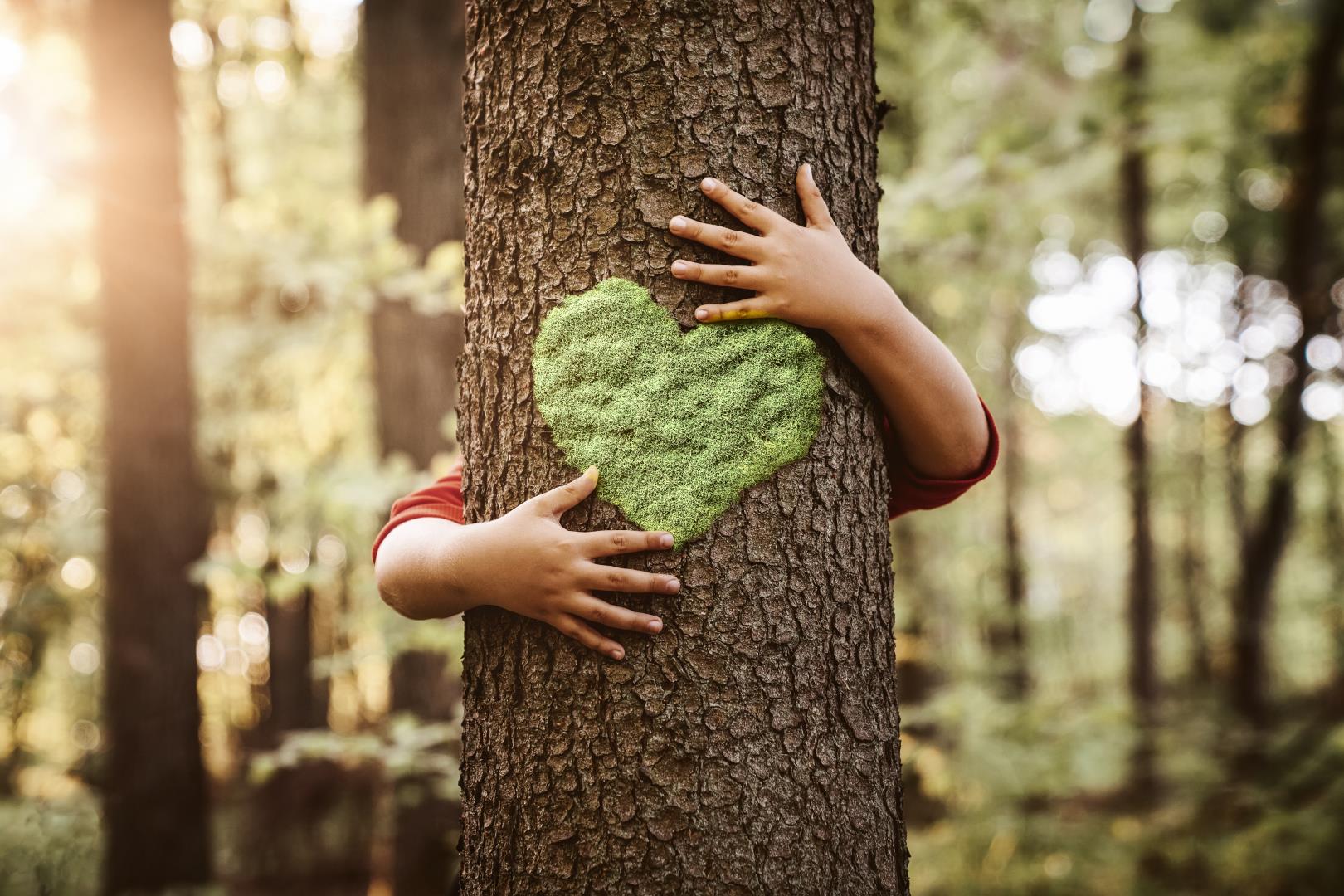Человек который любит лес. Обнимает дерево. Обнимашки с деревом. Ребенок обнимает дерево.