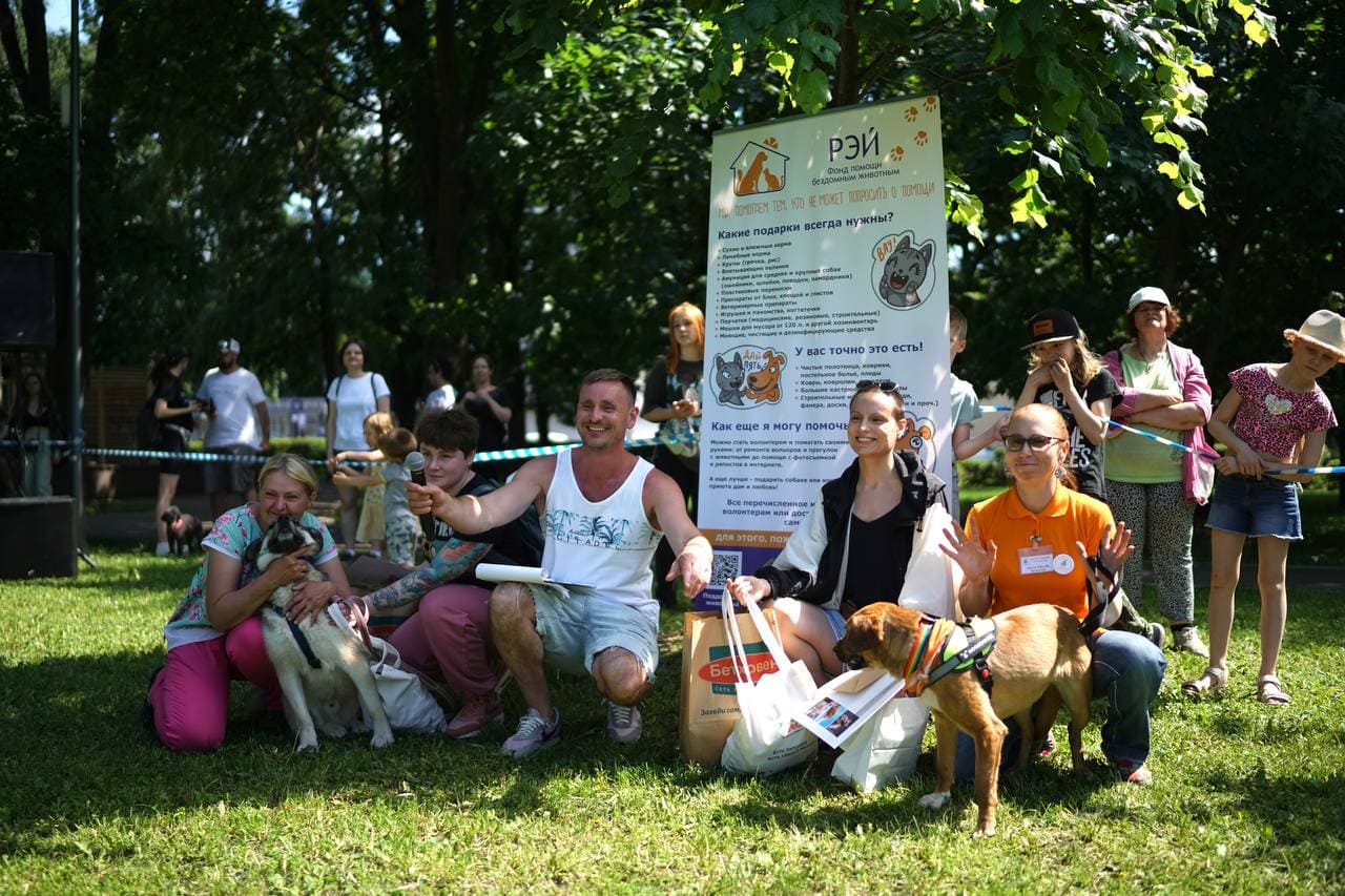 В Москве прошел самый dog-friendly фестиваль «Собаки в городе» | Радио 1