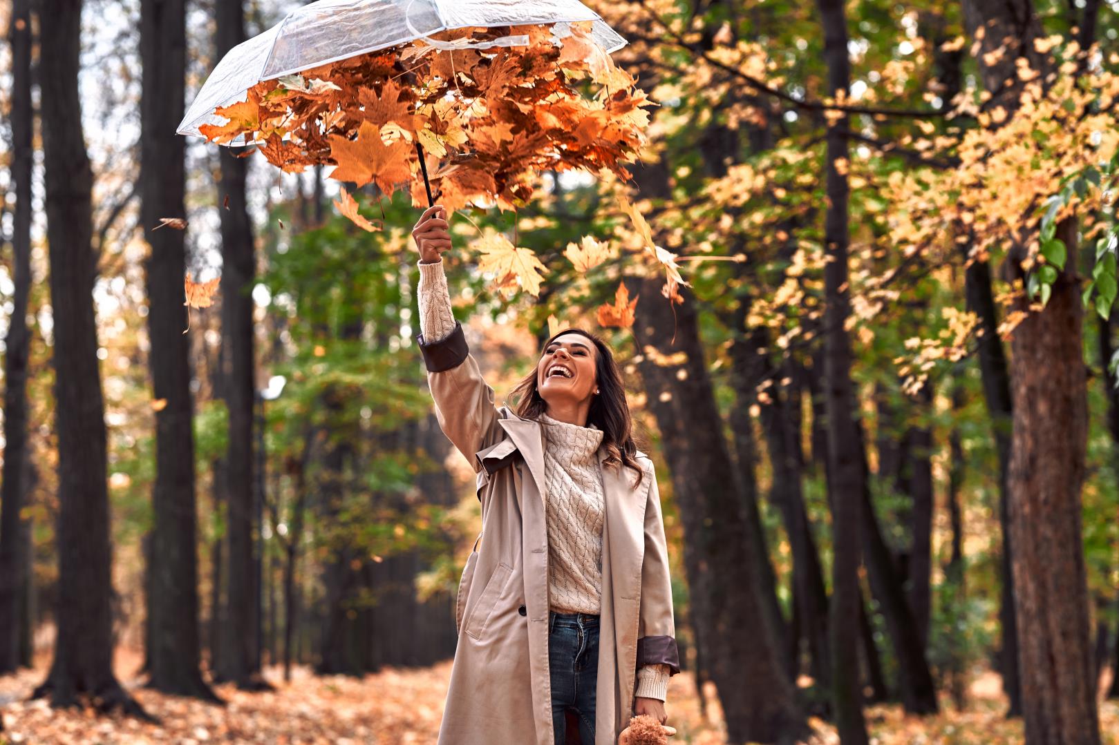Emotions in autumn leaves. Осеннее равноденствие в 2023. Тёплой и солнечной осени. Осень длится день. Тёплая осень.