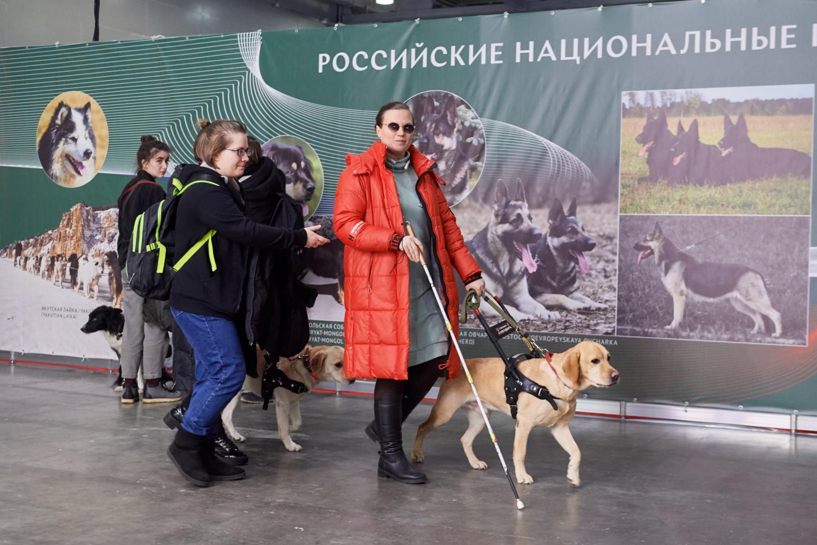 выставка собак в москве