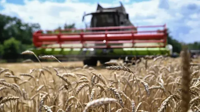 Три главные угрозы продовольственной безопасности назвали на Западе