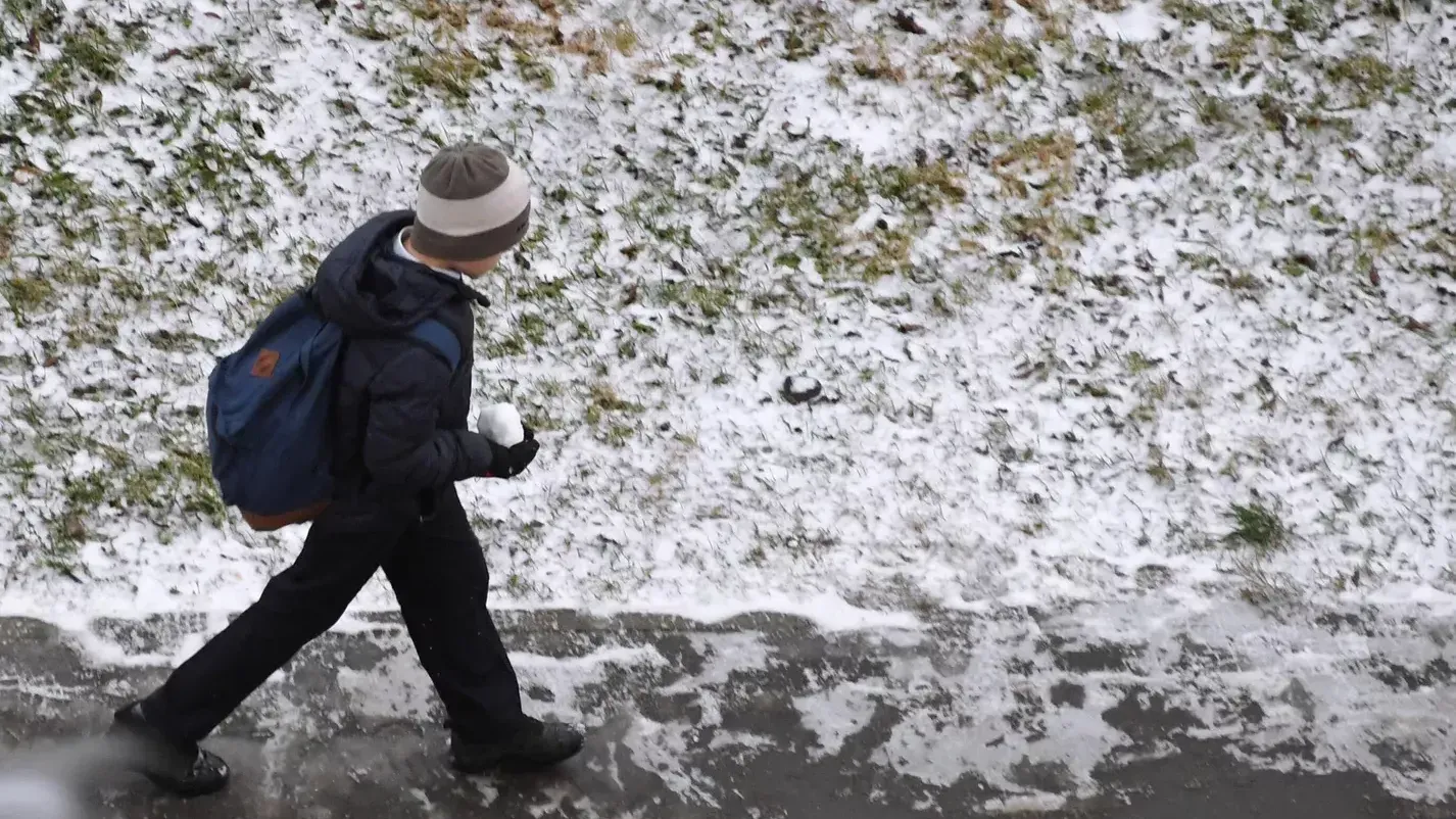 Почти половина декадной нормы осадков выпала в Москве за сутки | Российские  новости - 360tv News