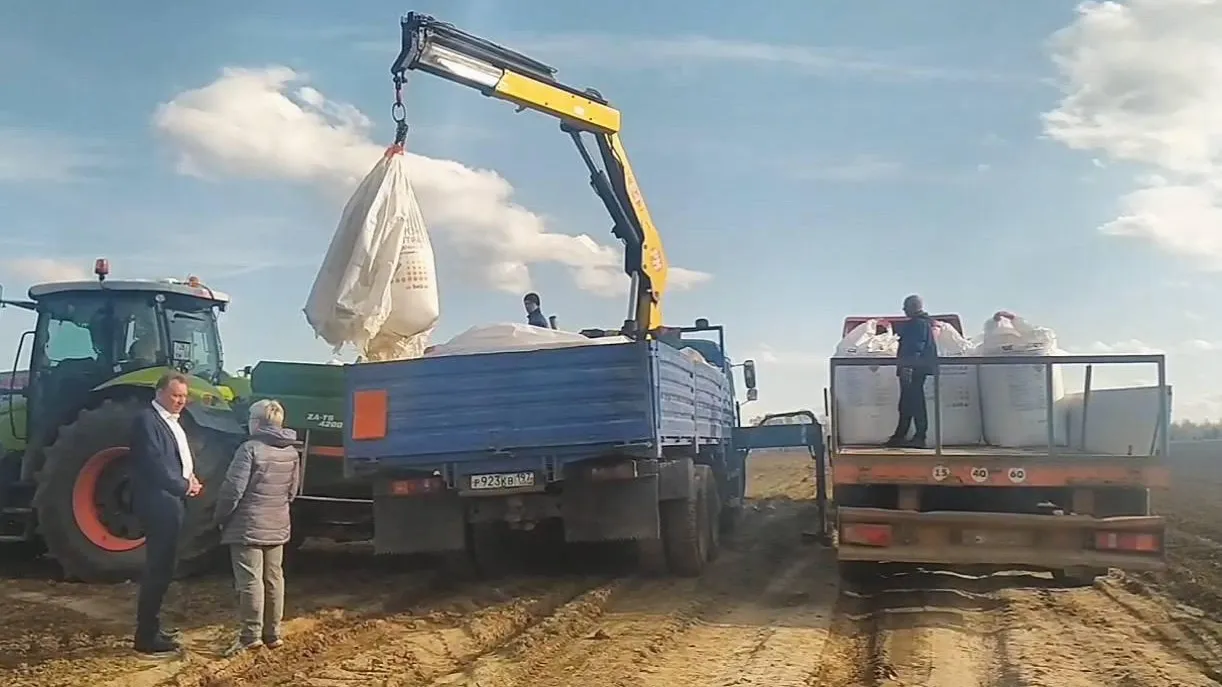 Свыше 20 тысяч тонн удобрений закупили в Подмосковье для весенних полевых  работ в 2024 году | Российские новости - 360tv News