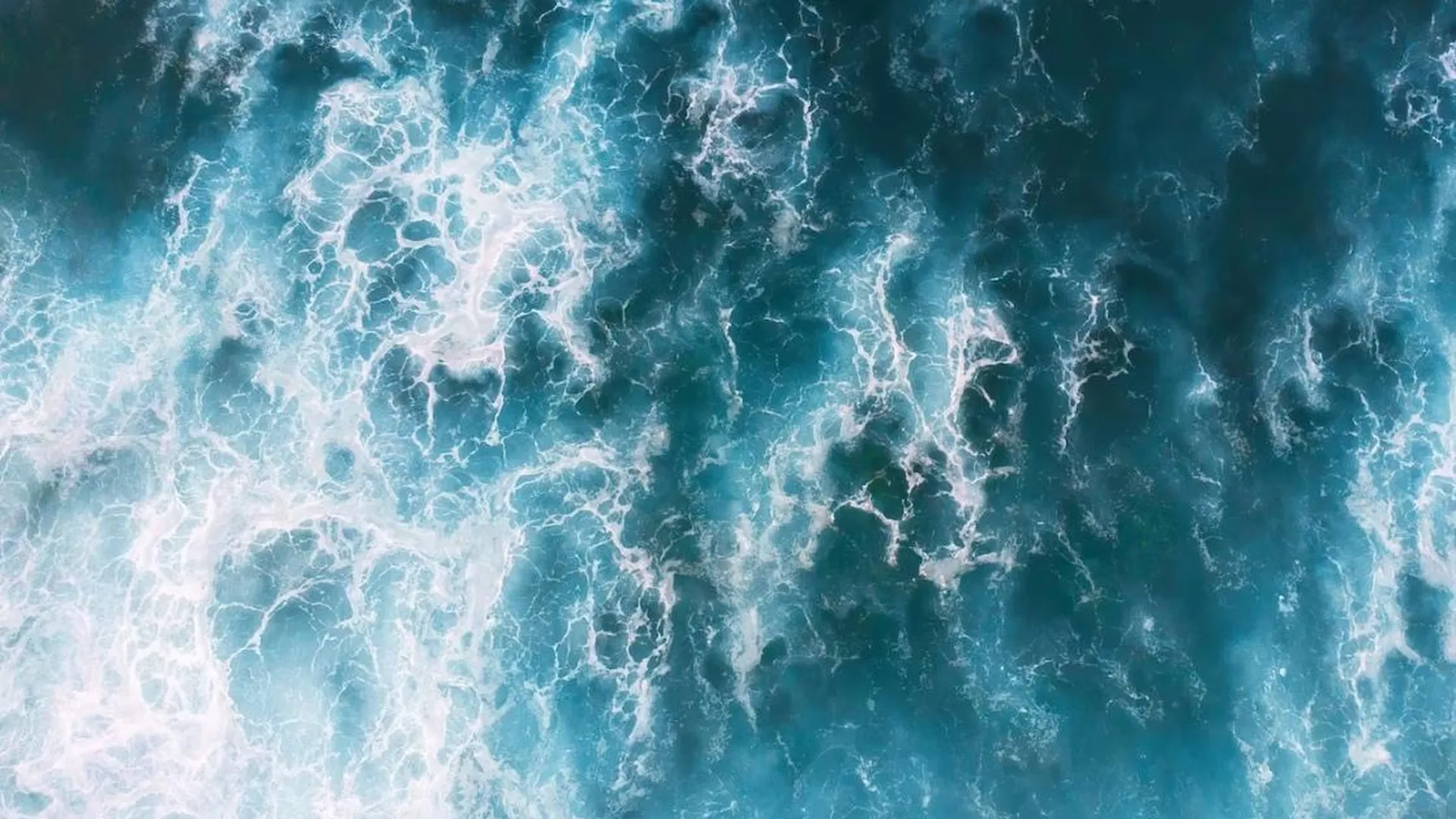 Ученые выяснили, что нагрев мирового океана привел к аномалиям по всему миру