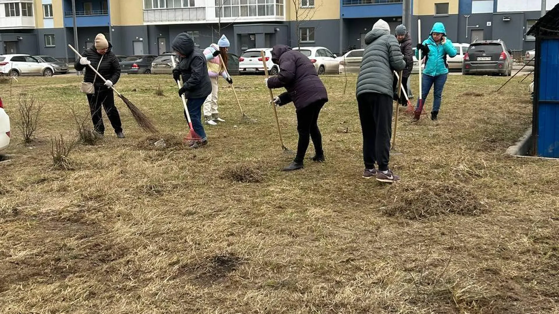 Более 80 дворов привели в порядок в Лобне на прошлой неделе | Российские  новости - 360tv News