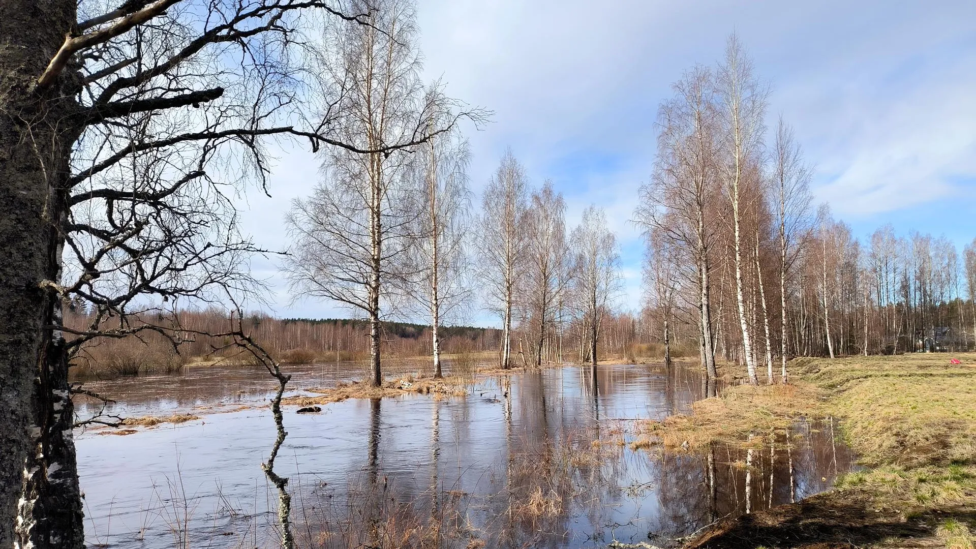 Ситуация с паводком в Белозерском округе в Курганской области стала  критической | Российские новости - 360tv News