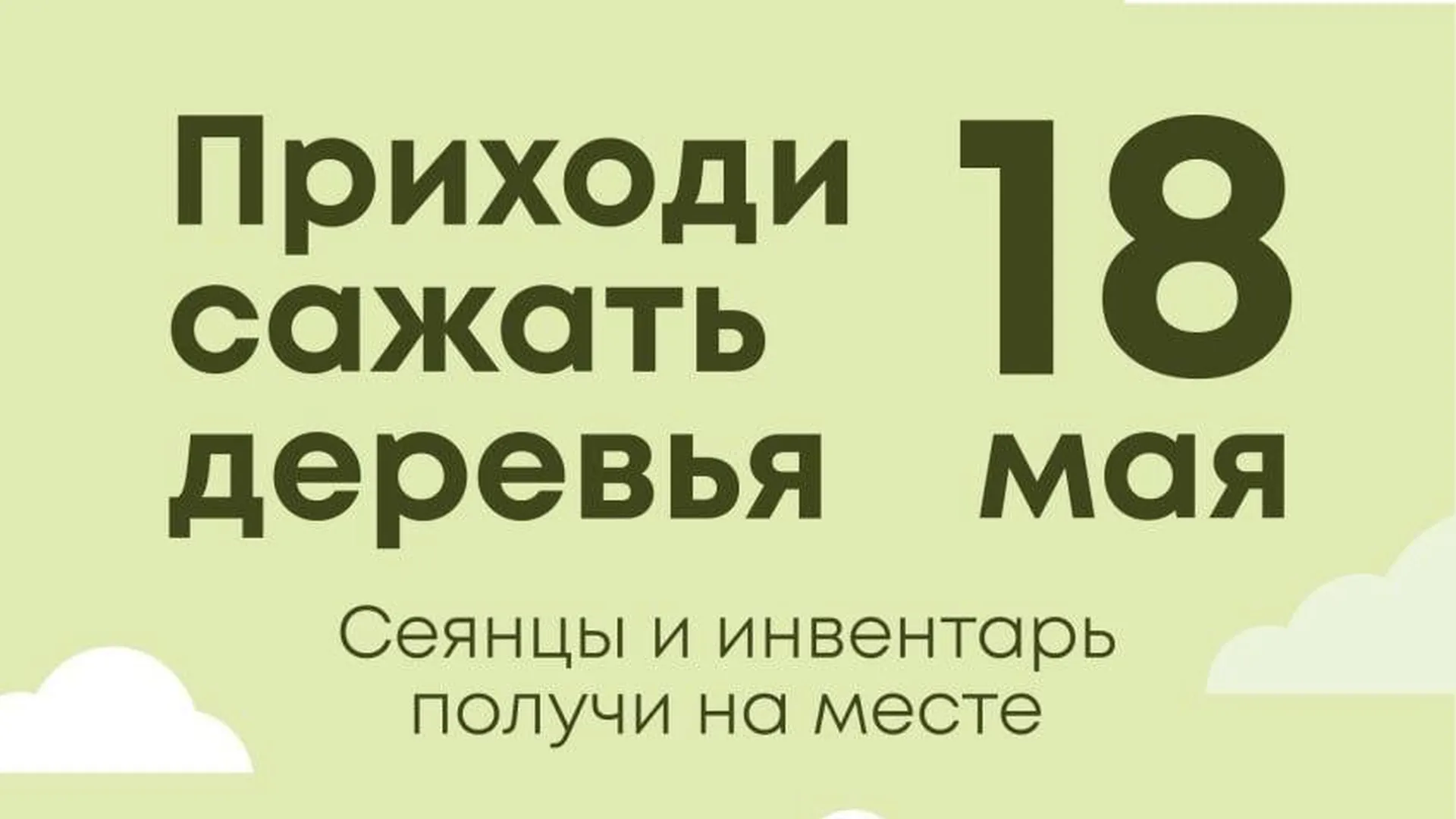 Акция «Лес будущего» пройдет на 16 площадках в Подмосковье | Российские  новости - 360tv News