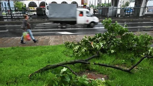 Это еще не конец. Синоптики пообещали москвичам новую серию непогоды